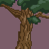 Bark - pine example.png