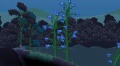 Giant Flower Biome 4.jpg