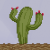 100px-Tree_-_cactus_with_cactus_flowers_example.png