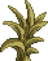 Leafy Plant (4).png