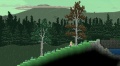 Forest Biome 6.jpg