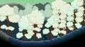 Forest Biome 4.jpg