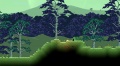 Forest Biome 3.jpg