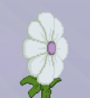 Leaves - whitepetals example.png