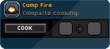 A Campfire cooking Window