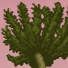 Leaves - palmy example.png