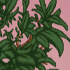 Leaves - junglepalm example.png