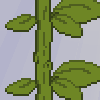 Bark - giantflower example.png