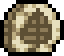 Fern Fossil.png
