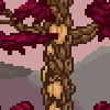 Bark - old example.png