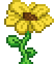 Moving Sunflower.gif