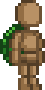 Turtle Shell.png