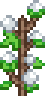Cotton Seed.png