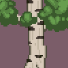 Bark - birch example.png