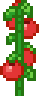 Tomato Crop.png