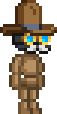 Sheriff's Hat.png