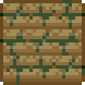 Mossy Packed Dirt Sample.png