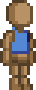 Sleeveless Top.png
