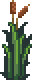 Reed Seed.png