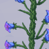 Tree - grasstree and bluebell example.png