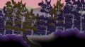 Forest Biome.jpg