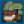 Floran Party Icon.png