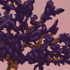 Leaves - piney example.png