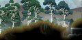 Forest Biome.png